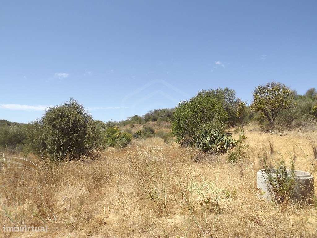 Terreno rústico com uma área de 7.600, Fontes da Matosa, Algarve - Grande imagem: 4/13
