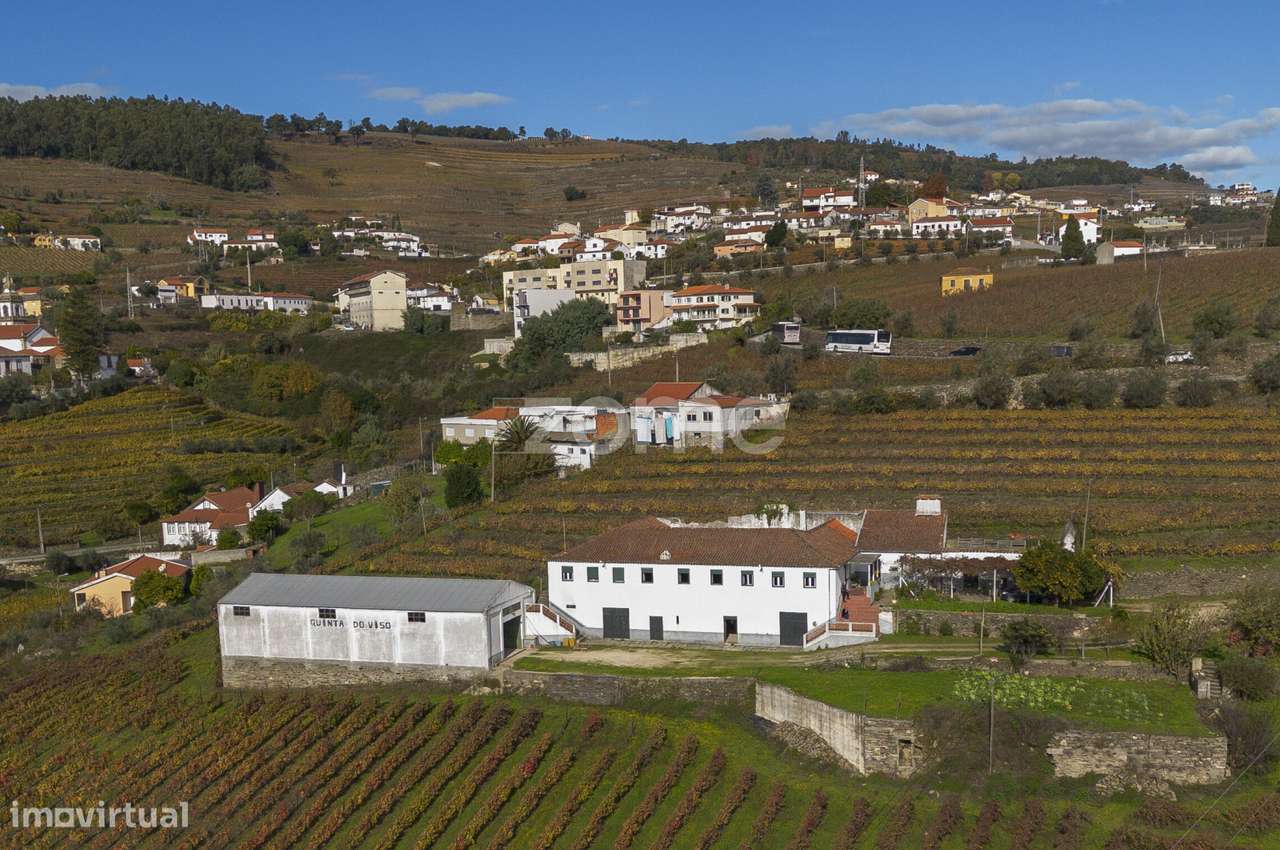 Quinta na Régua com 4.5 Hect de Vinha, com casa Duriense com 510 m2 - Grande imagem: 5/60