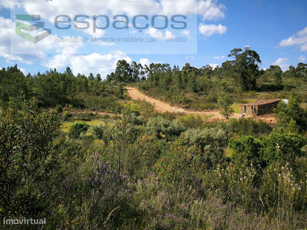 Quintinha 5 minutos de Castelo Branco - Grande imagem: 5/14