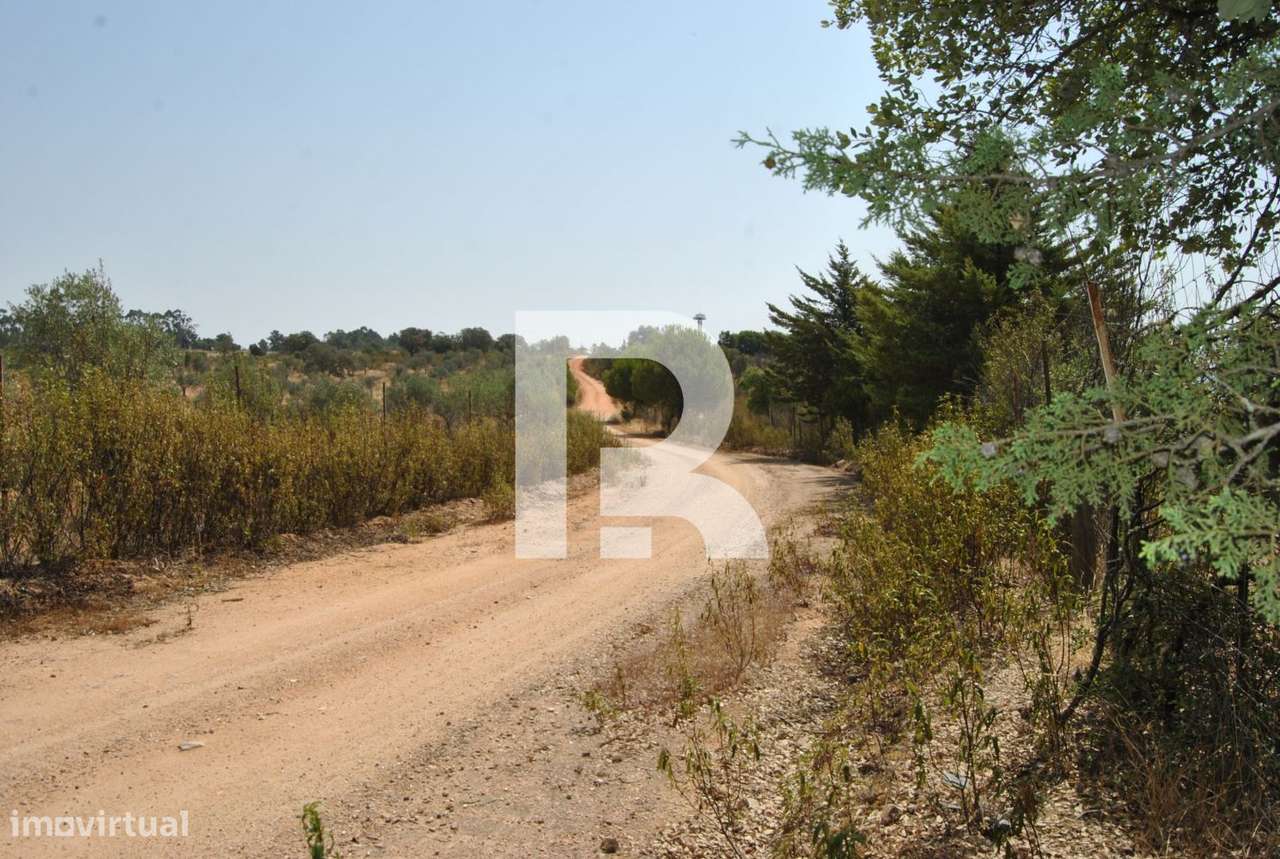 Herdade do Carapetal com uma área de146 Hectares em Idanha-a-Nova - Grande imagem: 4/25