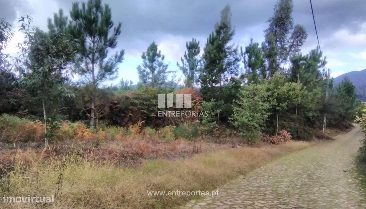 Venda de Bouça, Meixedo, Viana do Castelo - Grande imagem: 4/30