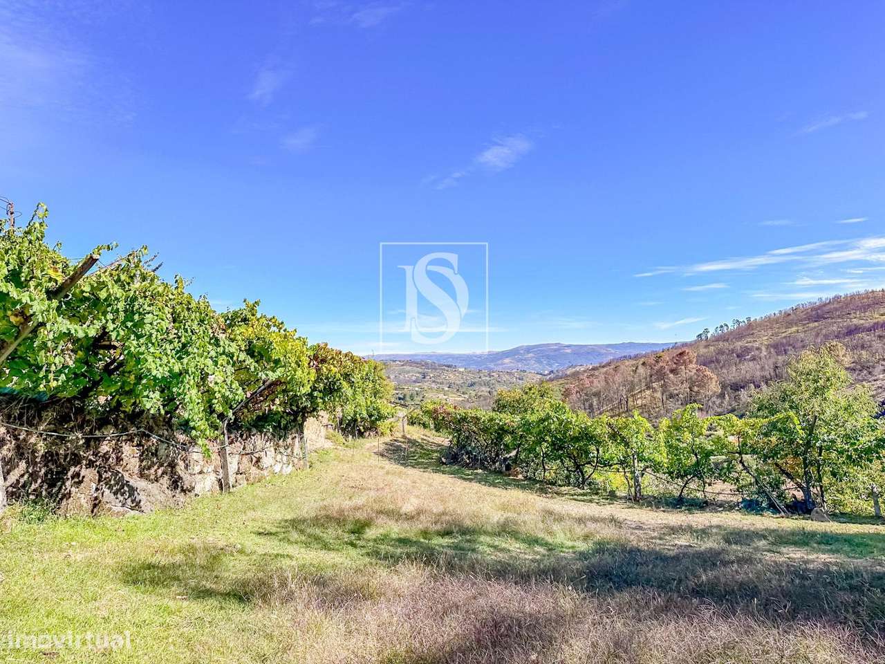 Terreno  Venda em Grilo,Baião - Grande imagem: 5/41