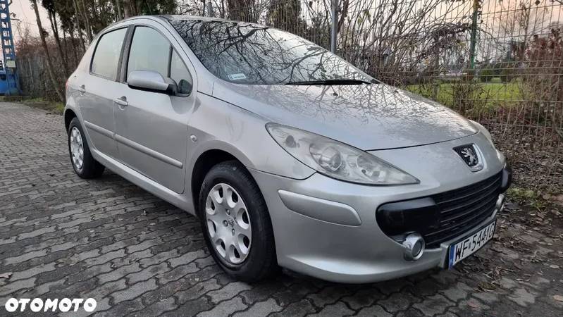 Peugeot 307 1.4 Trendy - 13