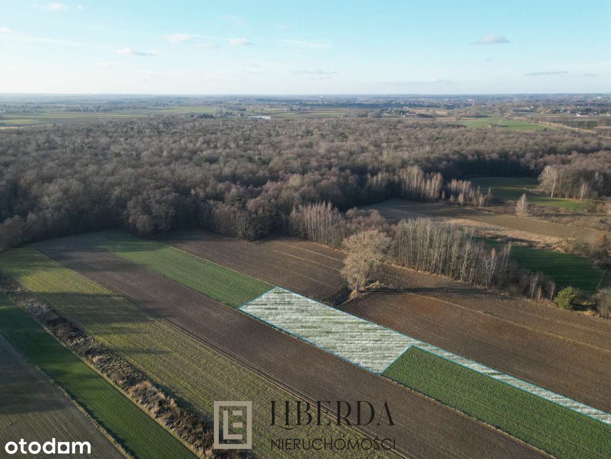 Motycz Leśny - 1412 m2 - okolice Lublina - Pełny obrazek: 1/3