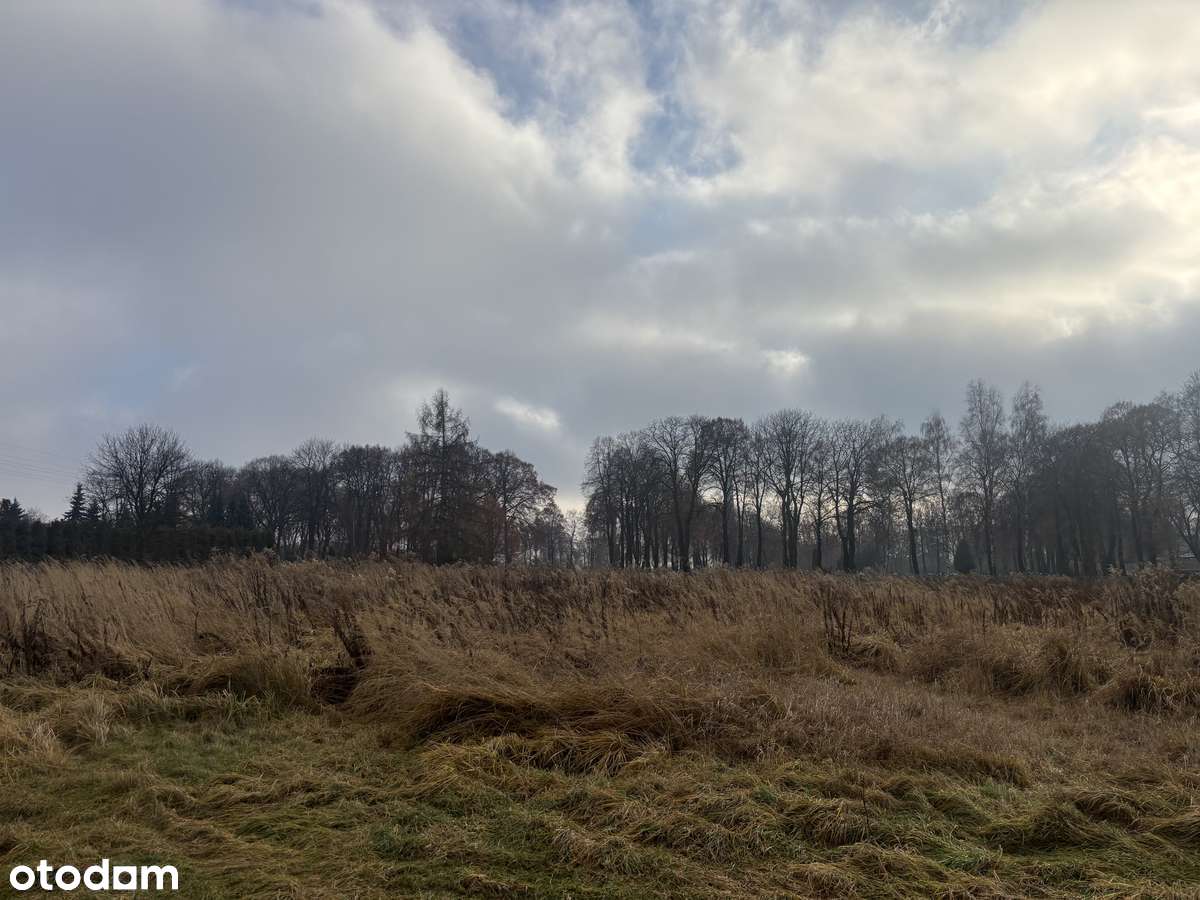 Działki budowlane na sprzedaż – Siemianowice Śląskie, ul. Spokojna 10-5