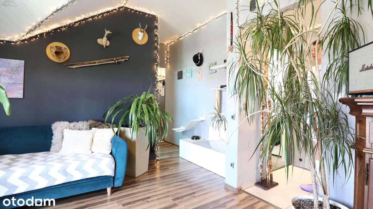 Dwupokojowe mieszkanie w Śmiglu - Pełny obrazek: 3/14