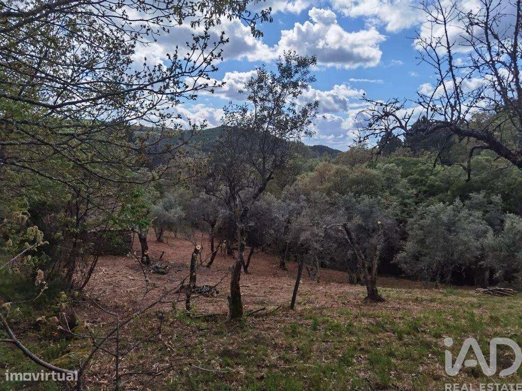 Casa de Campo em Aldeias e Mangualde da Serra de 40,00 m2 - Grande imagem: 5/27