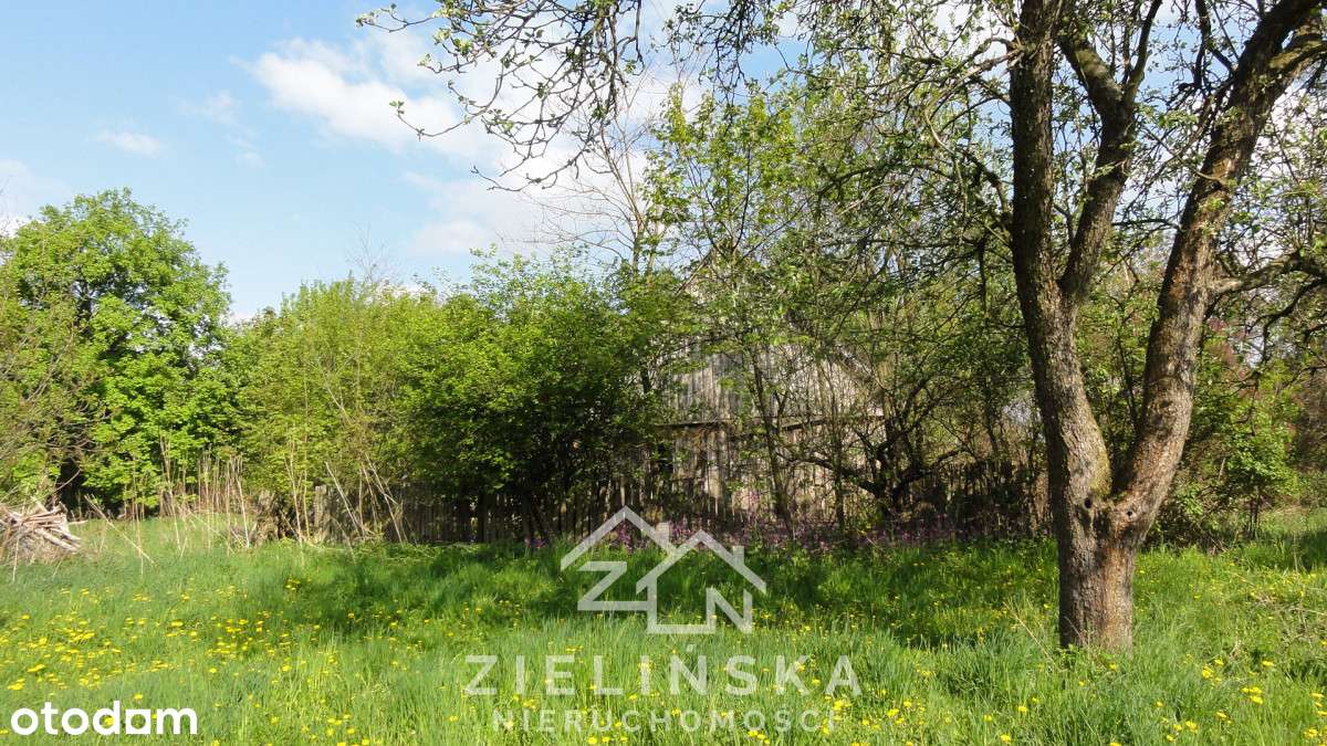 Grunty pod zabudowę lub fotowoltaikę – 10 ha,-3