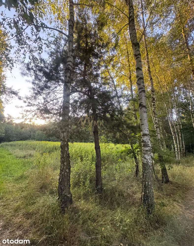 Atrakcyjne działki budowlane i rolne! - Pełny obrazek: 5/15