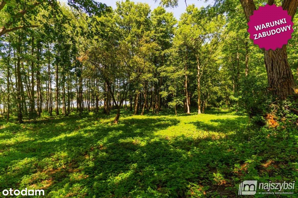 Domysłów -działka z linią brzegową 53m z Wz - Pełny obrazek: 1/17