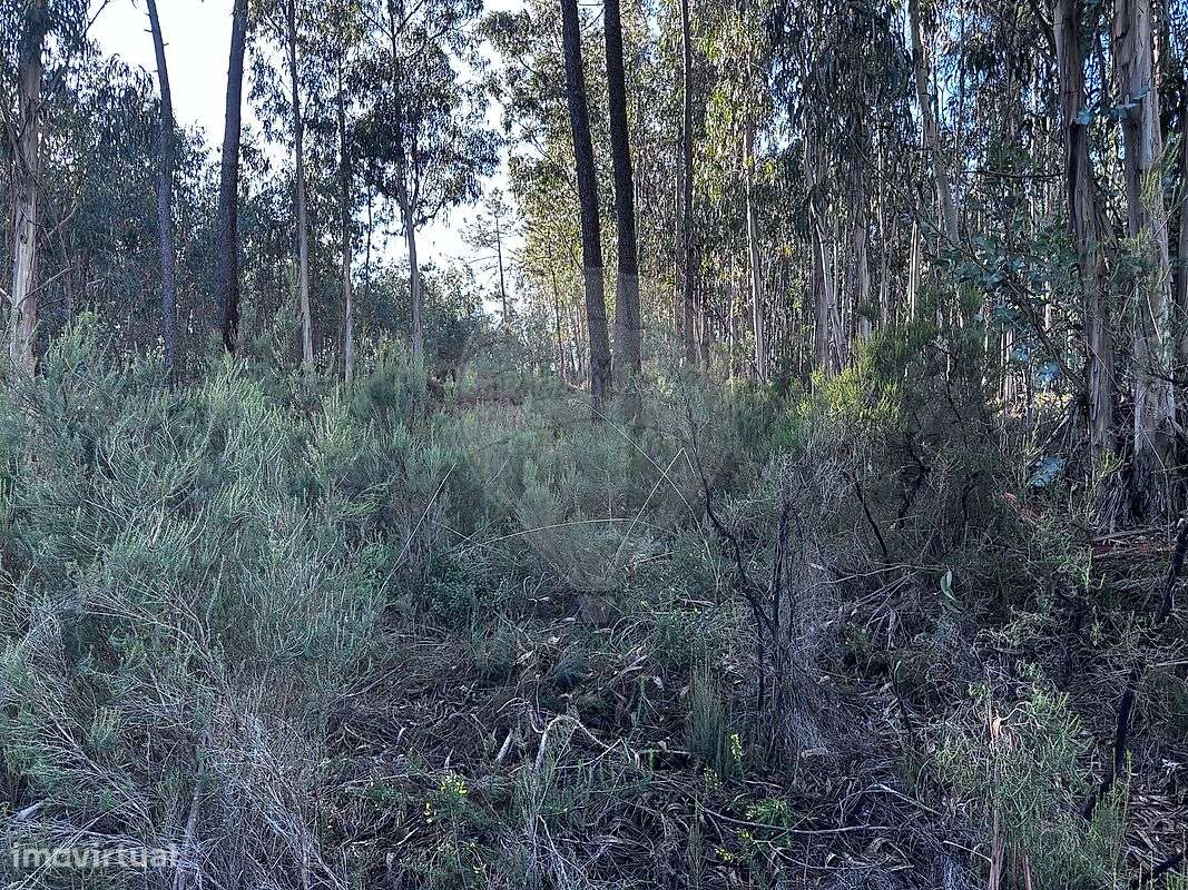 Terreno  para venda - Grande imagem: 5/17