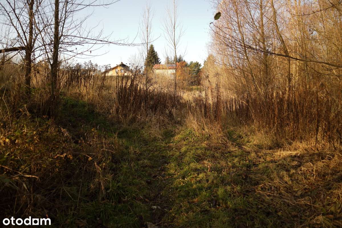 Czerwonak 1,5 ha działka siedliskowa - okazja-5