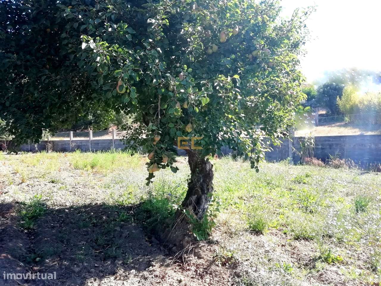 Terreno na Zona de Vila Verde - Grande imagem: 5/8