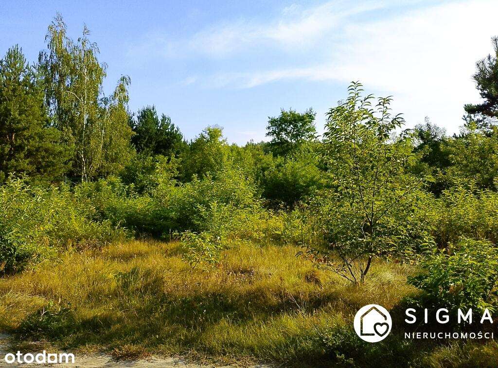 Działka przy lesie I MPZP I 50 km od Warszawy-2