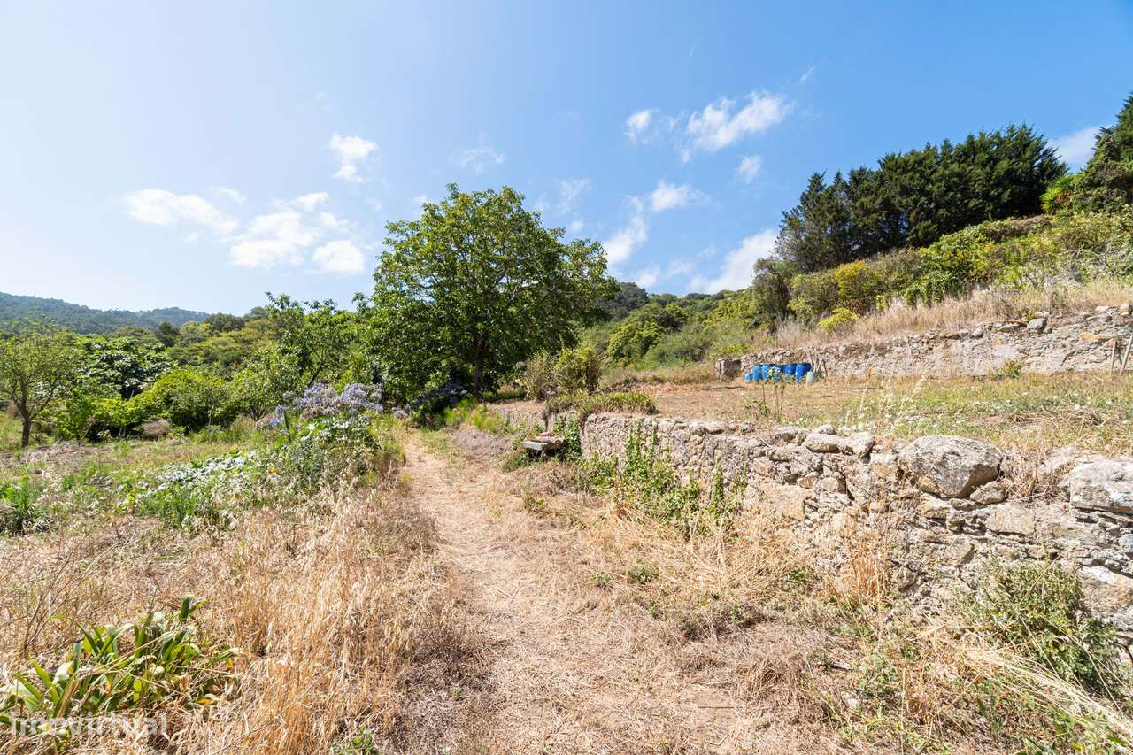 Quinta da Fonte Velha | Um segredo bem guardado, em pleno Parque Natur - Grande imagem: 5/39