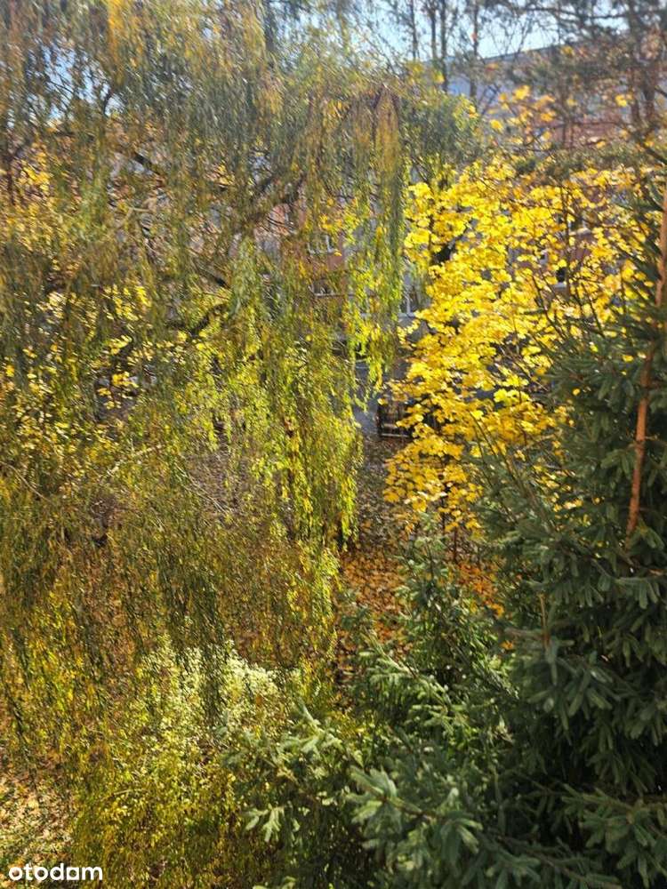 Prądnicka,2pok,idealne po Inwestycję lub by Zamieszkać,2/4,niegłupie-4