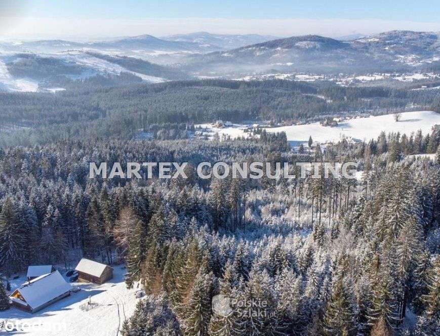 Dom, 303,40 m², Istebna-13