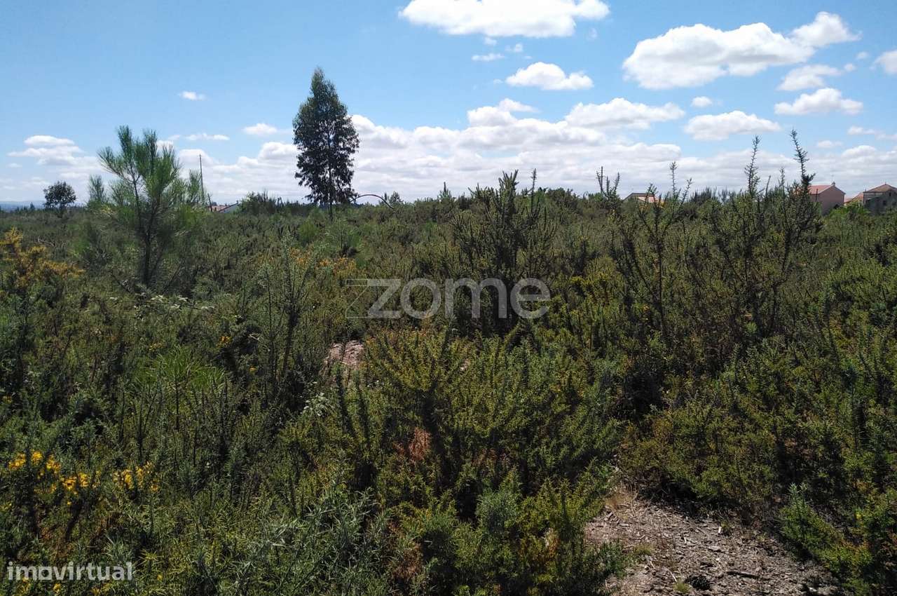 Terreno 2.196m2 em Paranhos - Seia - Grande imagem: 3/15