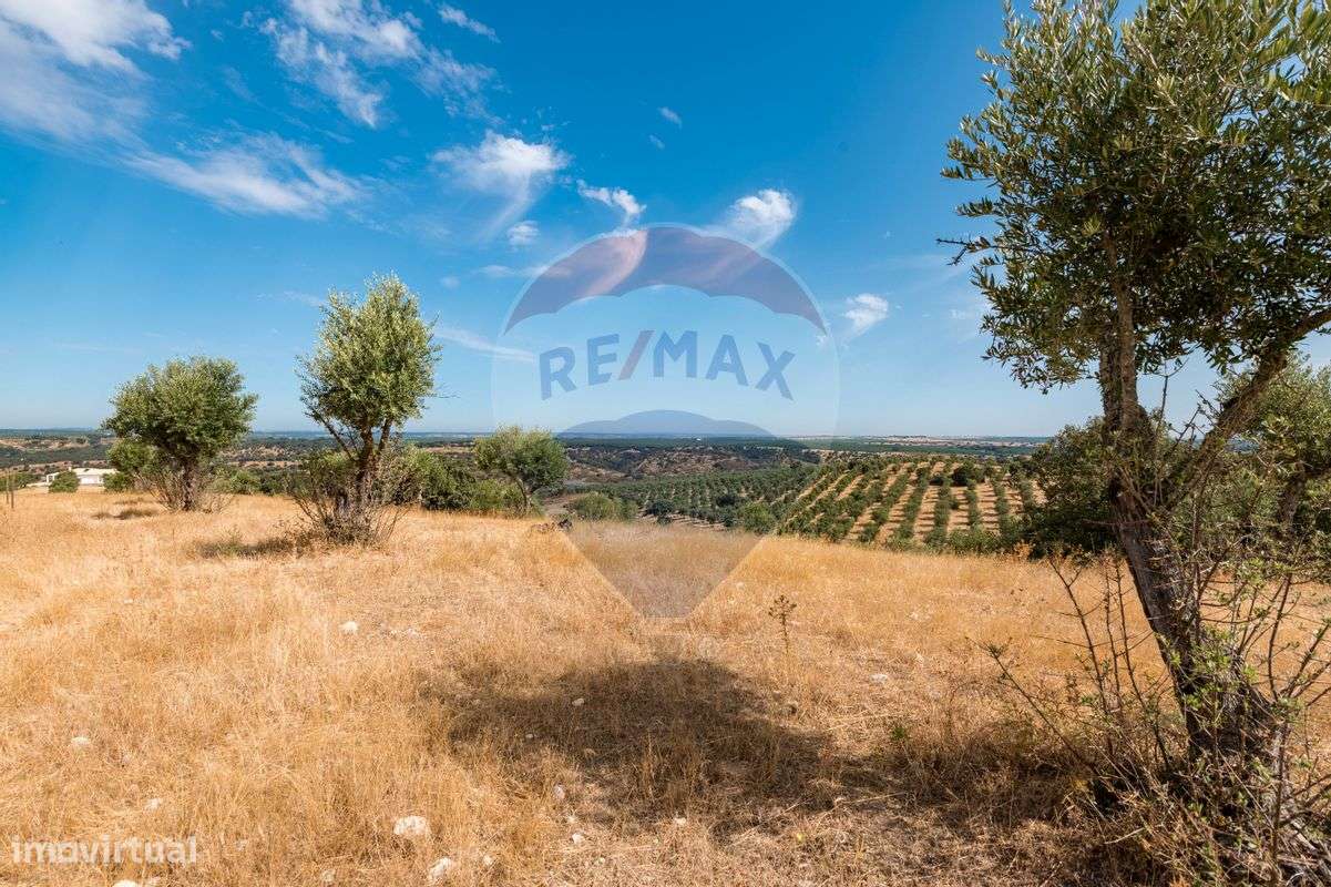 Quinta T2 para venda-41