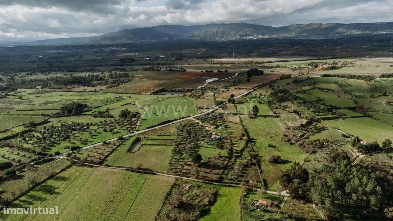 Quintinha / Fundão, Orca - Grande imagem: 4/20