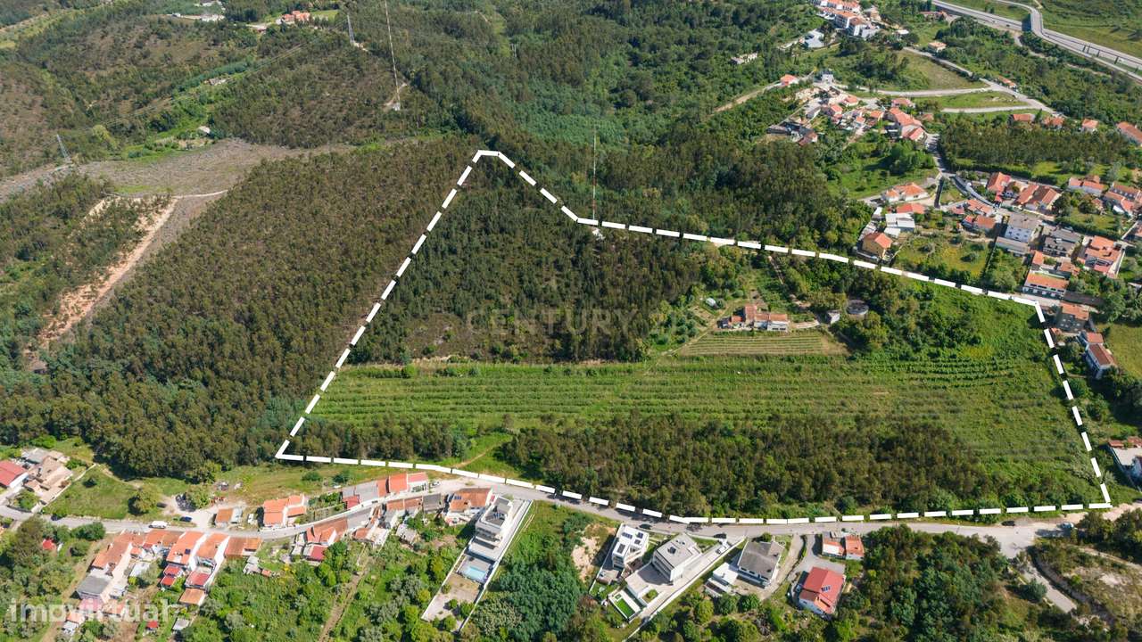 Quinta com 8 hectares com potencial para construção – Antanhol - Coimb-6