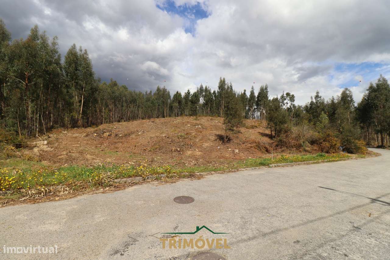 Terreno para construção - Nogueira do Cravo - Grande imagem: 5/14