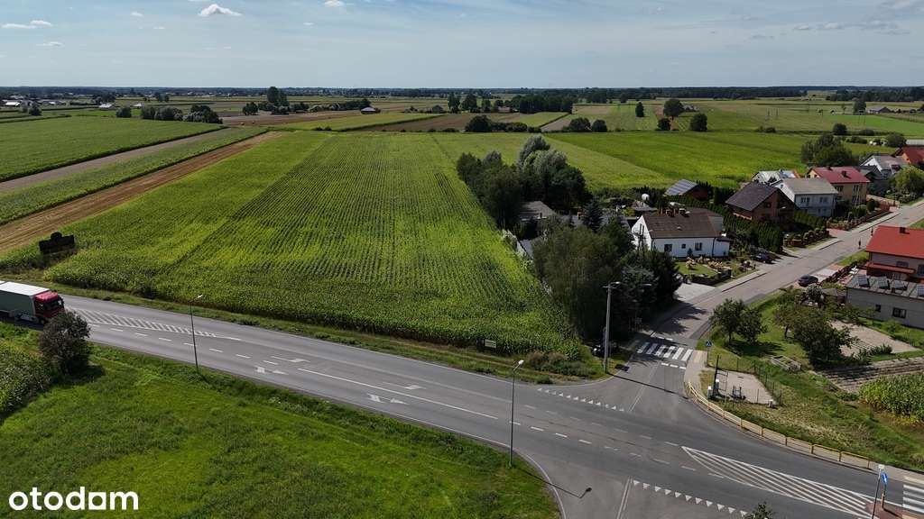 Działka z potencjałem przy głównej drodze - Pełny obrazek: 5/8