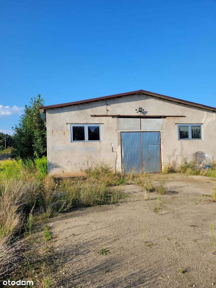 Sprzedam nieruchomość-działkę Gromadka-Bolesławiec - Pełny obrazek: 5/16