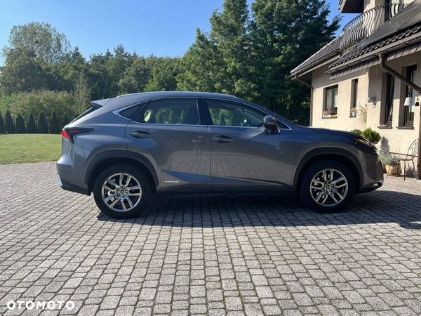 Lexus NX - 6