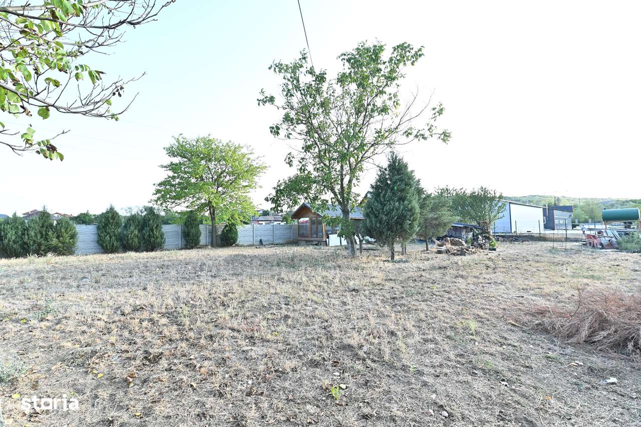 Hala de vânzare/închiriat Podari-16