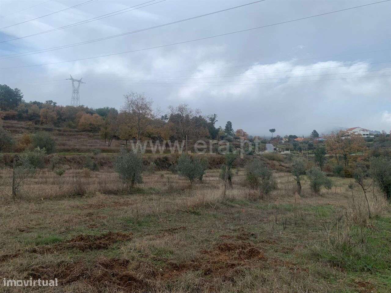 Quintinha T1 / Fundão, Pêro Viseu - Grande imagem: 5/12