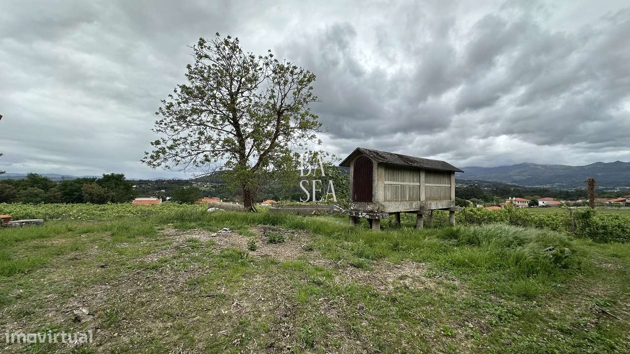 Quinta com 3 Habitações 2 Armazéns e 1 ha de Vinha em Barbeita Monção.-54