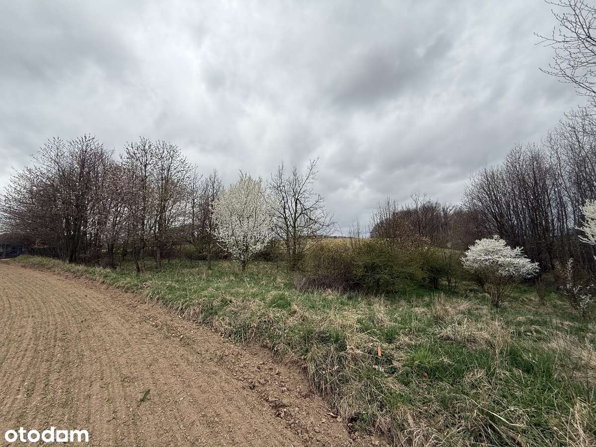 Działka z warunkami zabudowy - las, dostęp do drogi. Inwestycja.-15