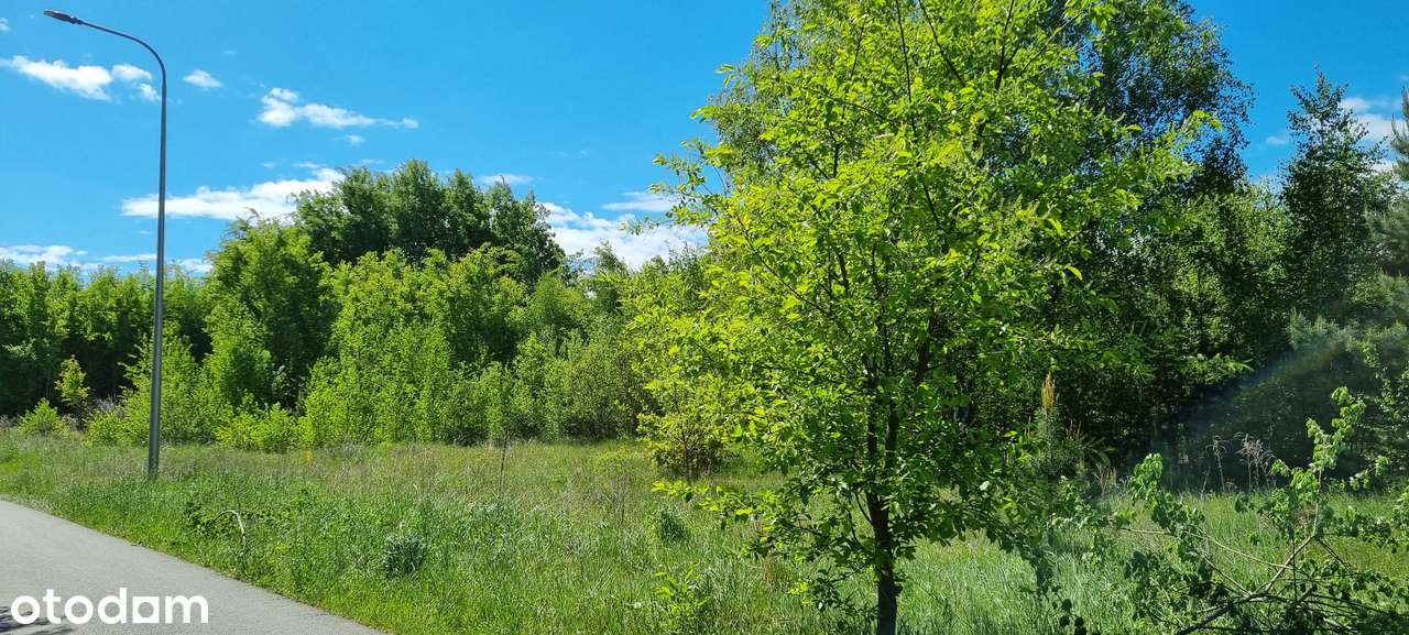 Piękna działka na Zielonych Wzgórzach - Pełny obrazek: 4/7