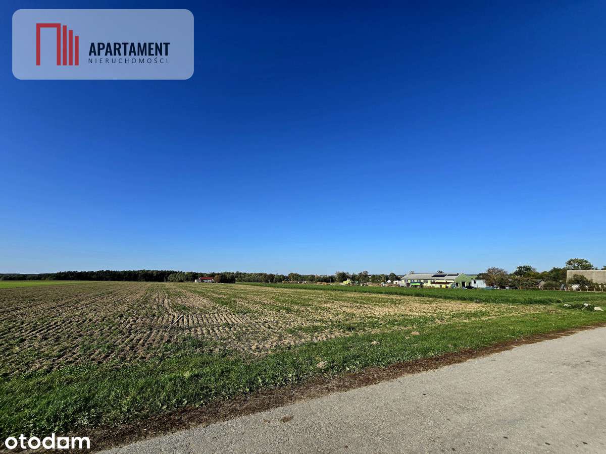 *Działka z warunkami zabudowy Dąbrówka Słupska - Pełny obrazek: 4/8