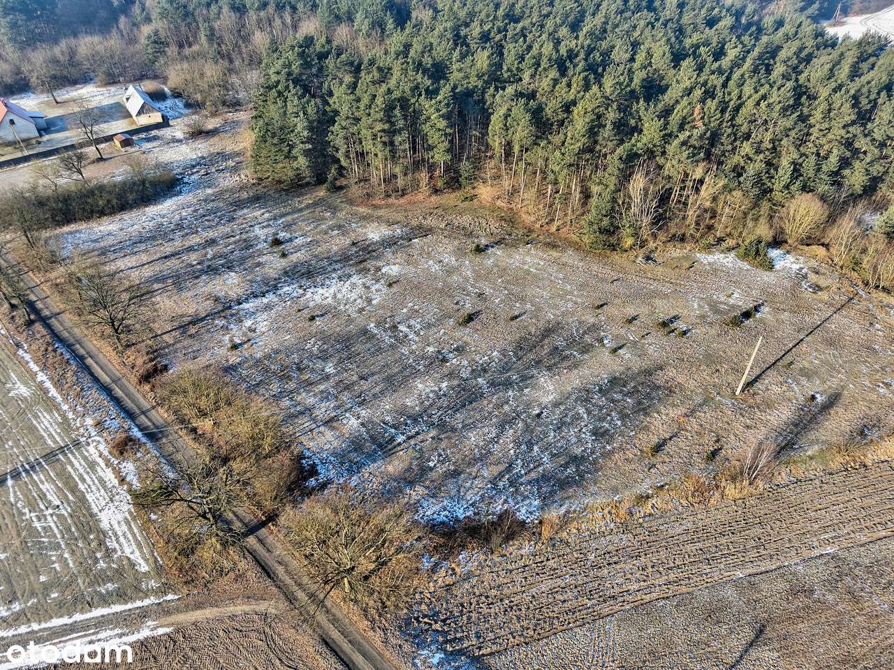 Atrakcyjna działka budowlana przy lesie - Runowo-8