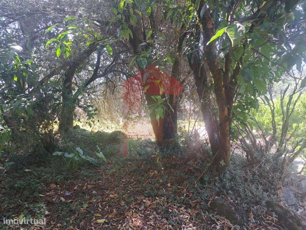 Moradia para restauro-10