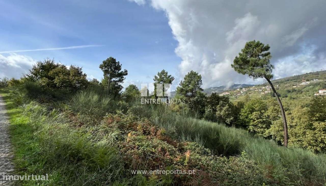Venda Terreno, Gestaçô, Baião - Grande imagem: 2/29