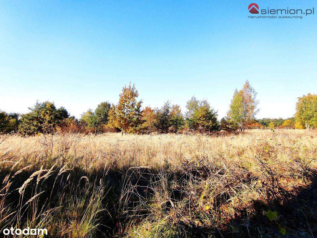 Atrakcyjna działka budowlana Rogoźnik-9