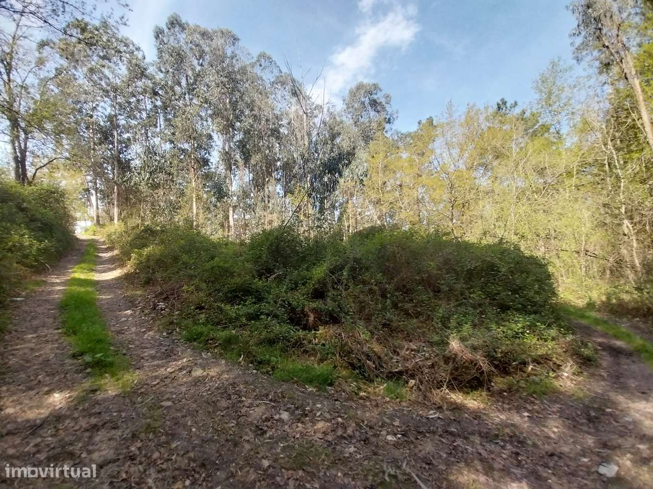 Terreno em Monção, Cortes-8