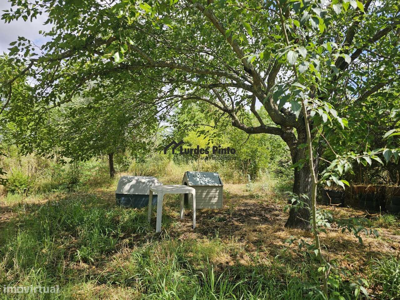 Quinta com habitação-25