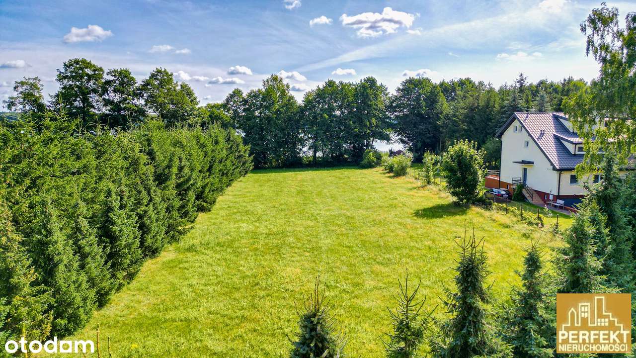 Piękne działki z linią brzegową jeziora Zawadzkiego - Pełny obrazek: 5/8