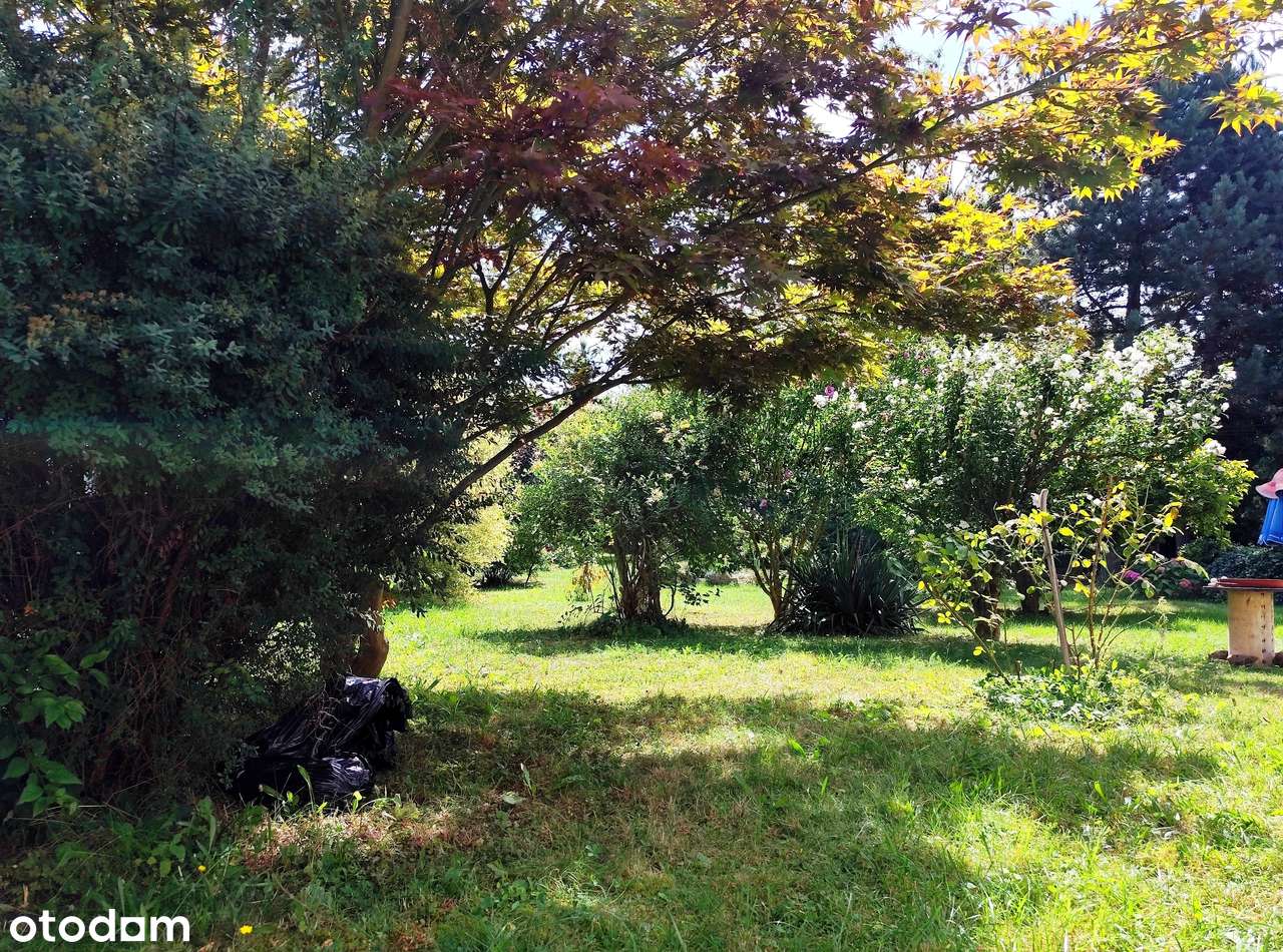 Dom z piękną działką, dojazd - 10 minut pociągiem od Wrocławia-17