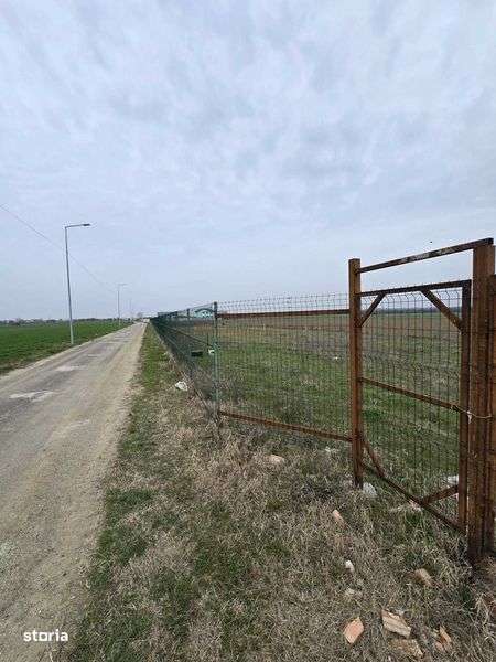 Vand teren in Ilfov- Copaceni - Imagine principală: 5/5