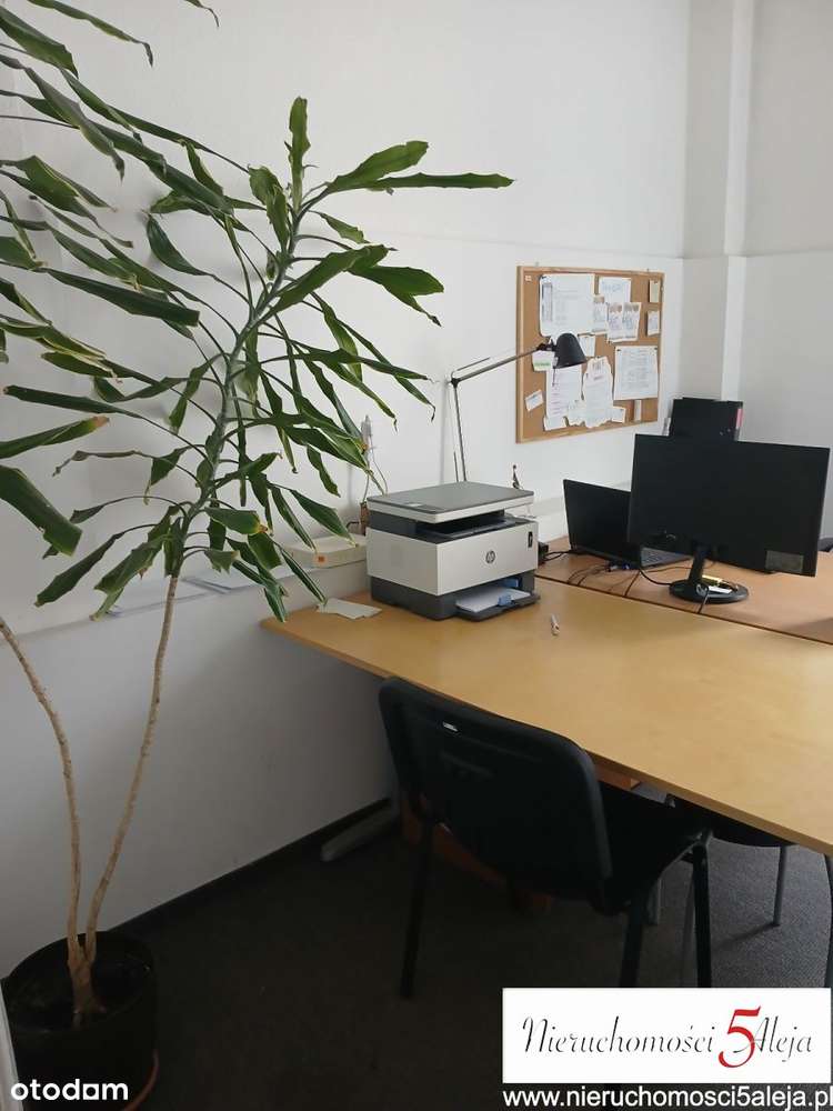 Lokal biuro Al Wielkopolska Sołacz - Pełny obrazek: 2/8