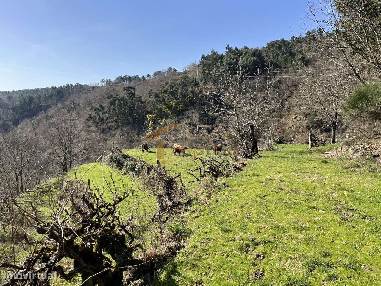 Quinta dos Ujos  - Quintelas-13