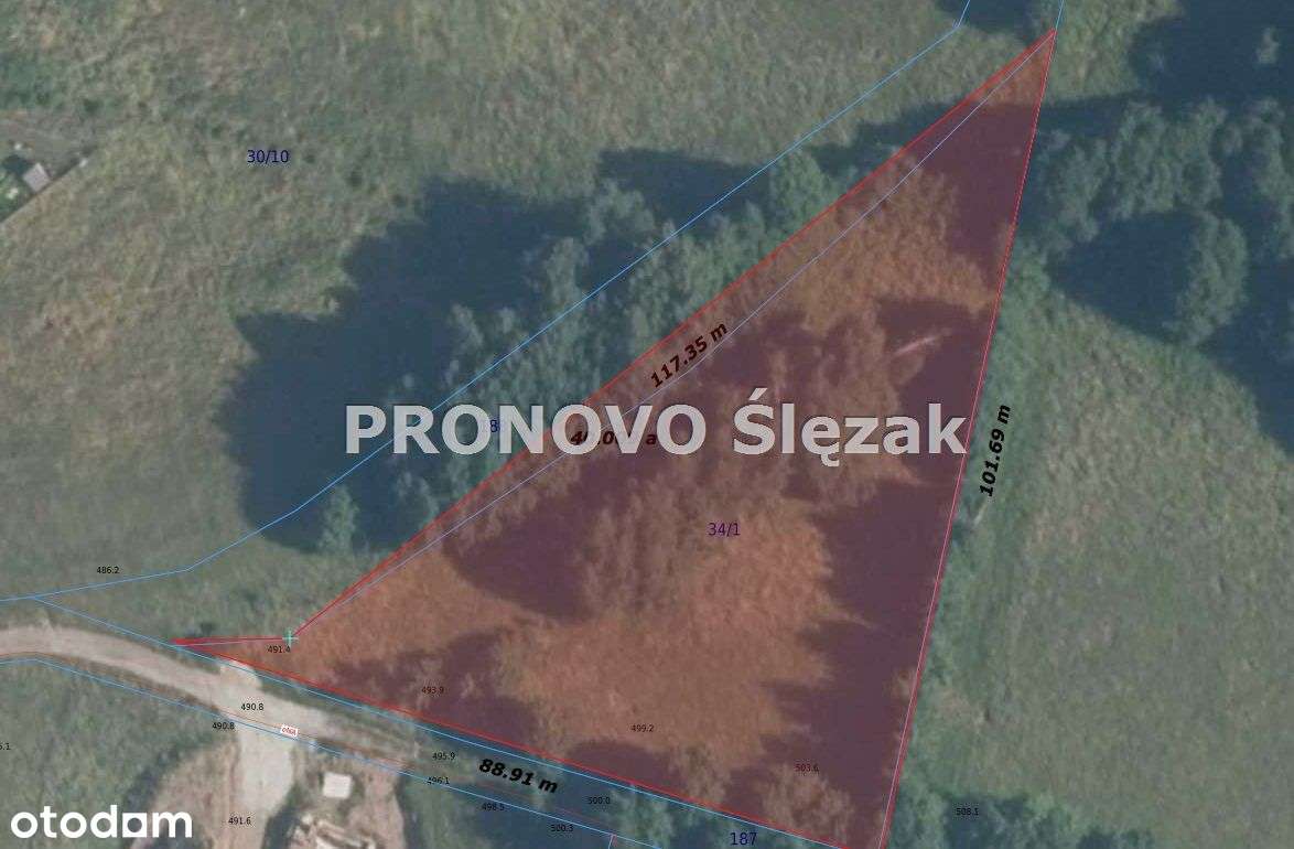 Sprzedam działkę 30 arów Michałkowa-9