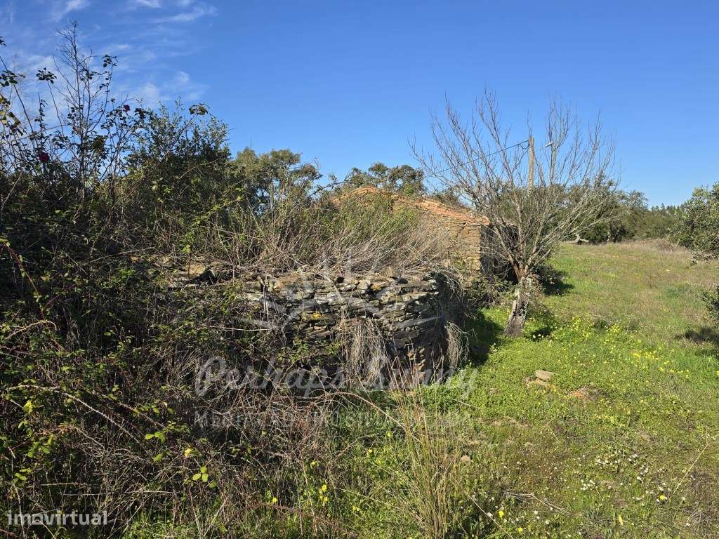 Quinta em Relíquias - Odemira - Grande imagem: 5/30