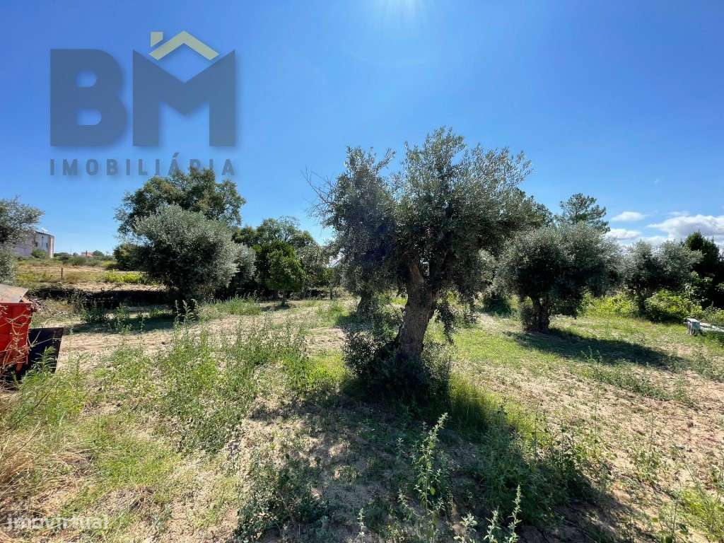 Terreno de 4000m² à Venda em Freixial do Campo - Grande imagem: 4/18