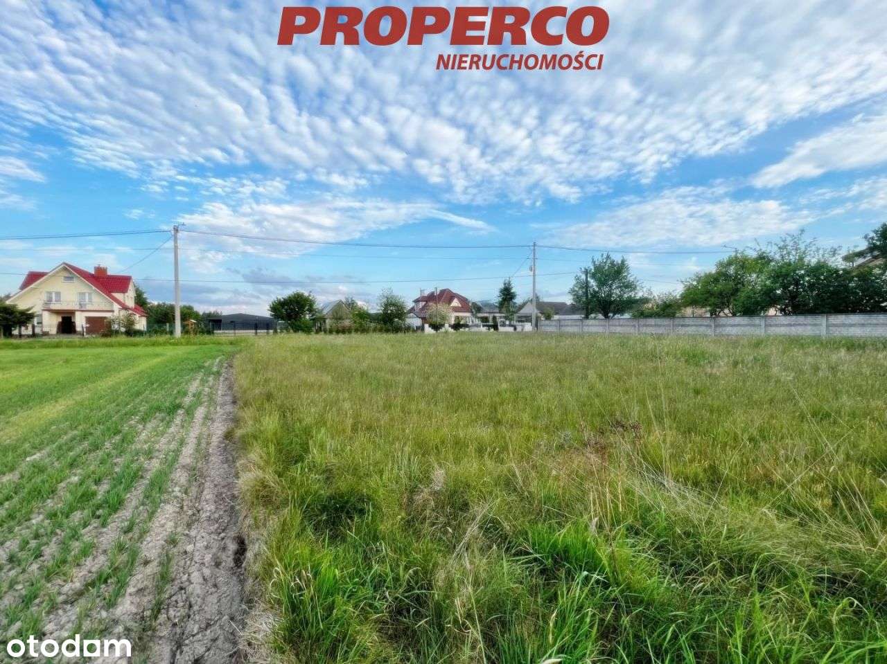 Działka 1500m2, Piotrowiec gm.Łopuszno - Pełny obrazek: 5/12